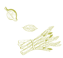 dessin d'un bouquet d'asperges vertes et feuilles de basilic